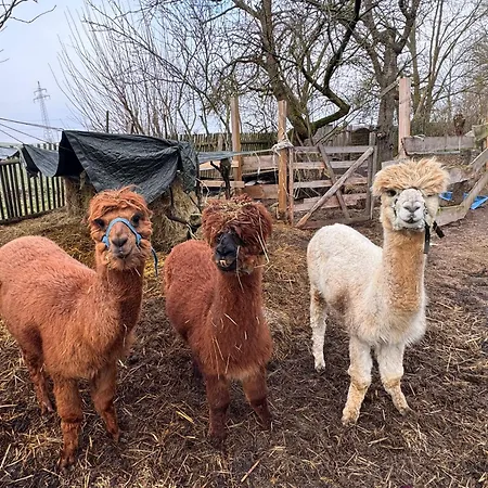 Monteurzimmer Free Wifi * Hausbreitenbach