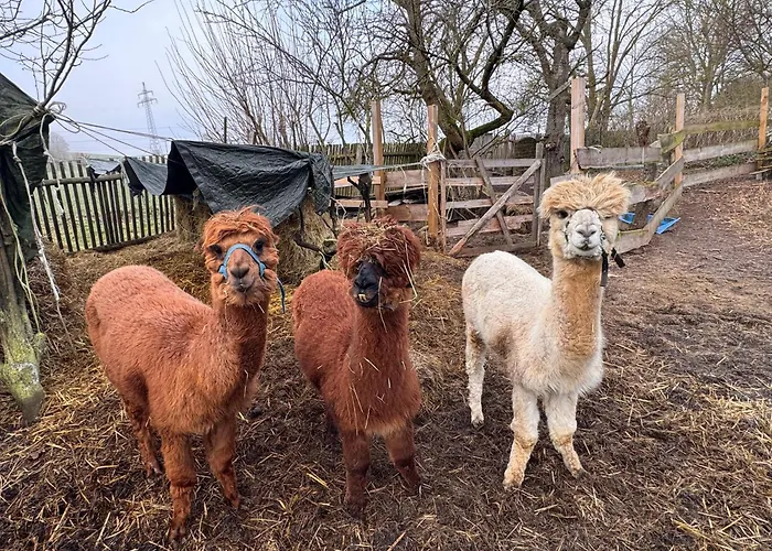 Monteurzimmer Free Wifi * Hausbreitenbach