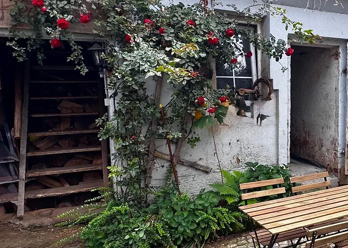 Kamp alanı Monteurzimmer Free Wifi *